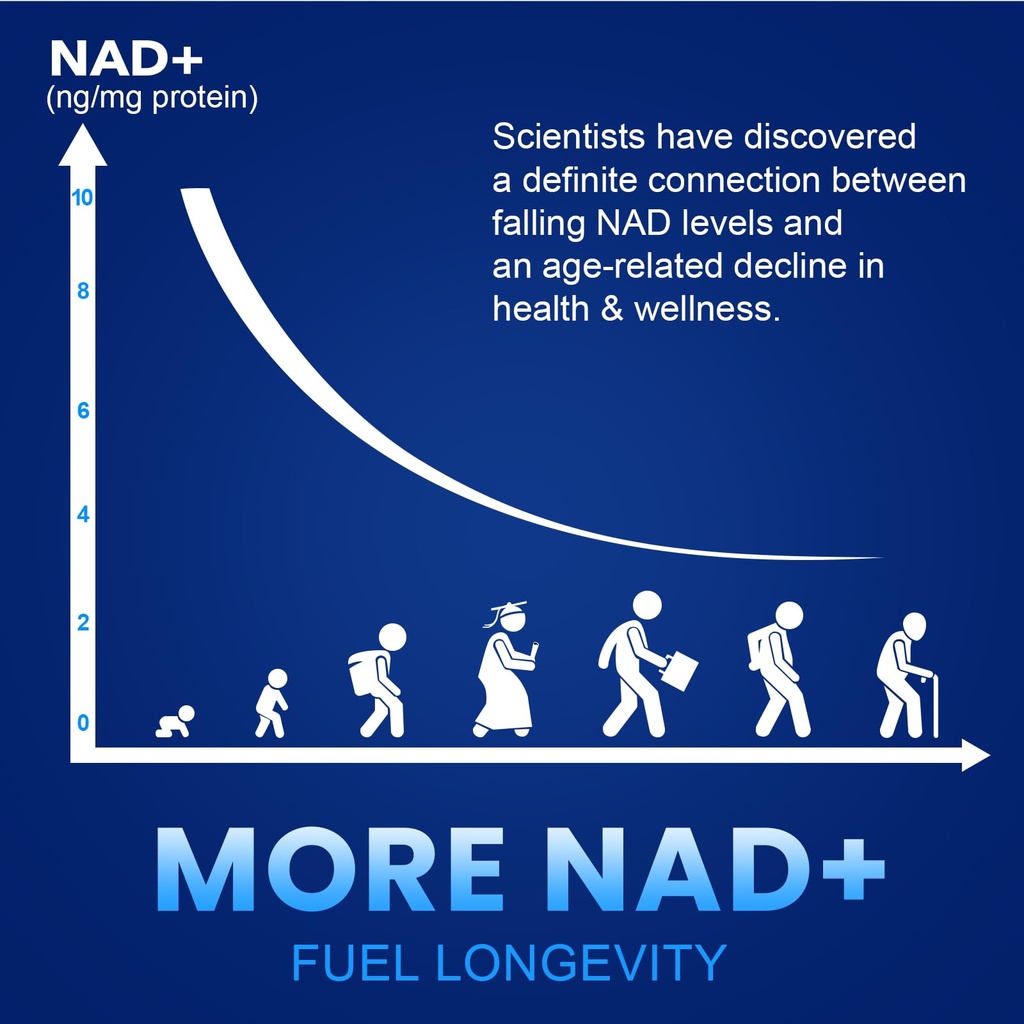 nmn-1000mg-per-serving-maximum-strength--4.jpg