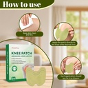 36pcs-wormwood-extract-knee-patches-8-ho-5.jpg