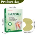 36pcs-wormwood-extract-knee-patches-8-ho-6.jpg