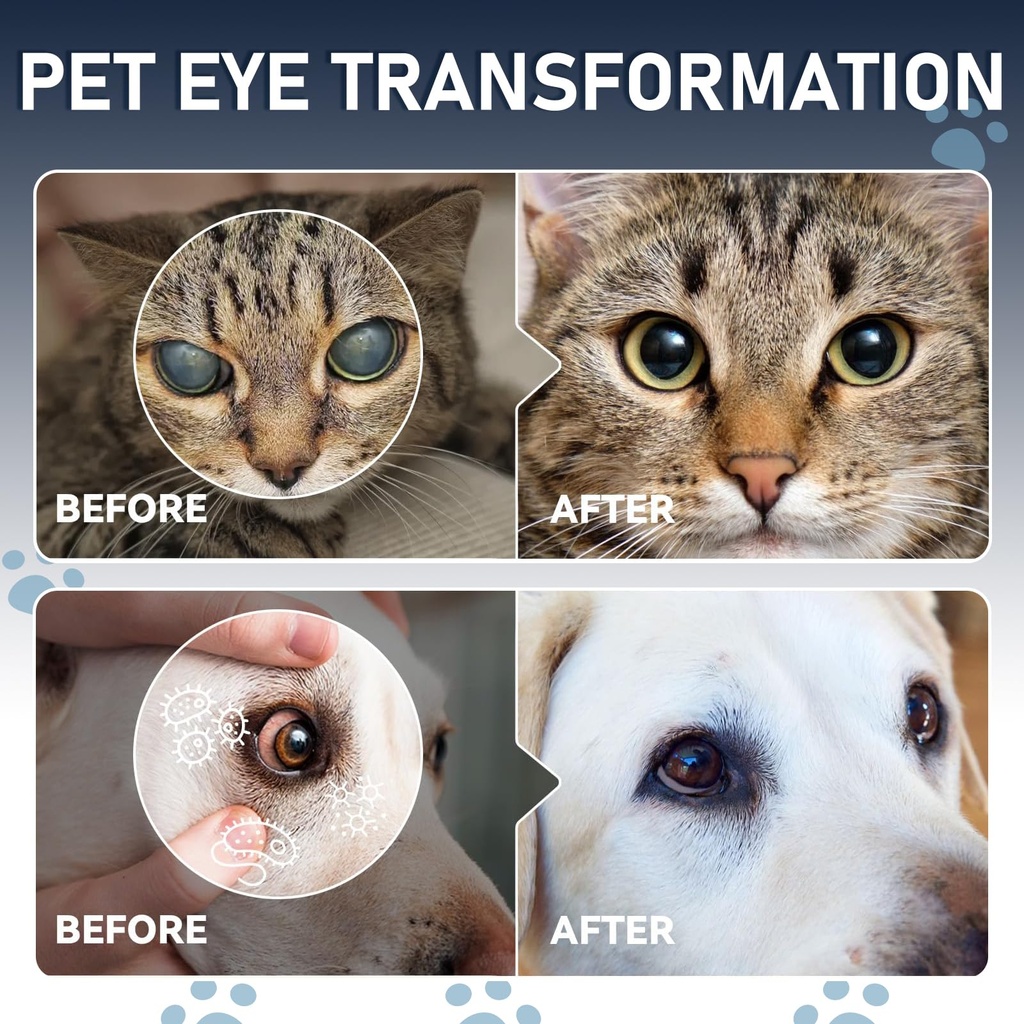 dog-cat-cataract-eye-drops-infection-tre-3.jpg