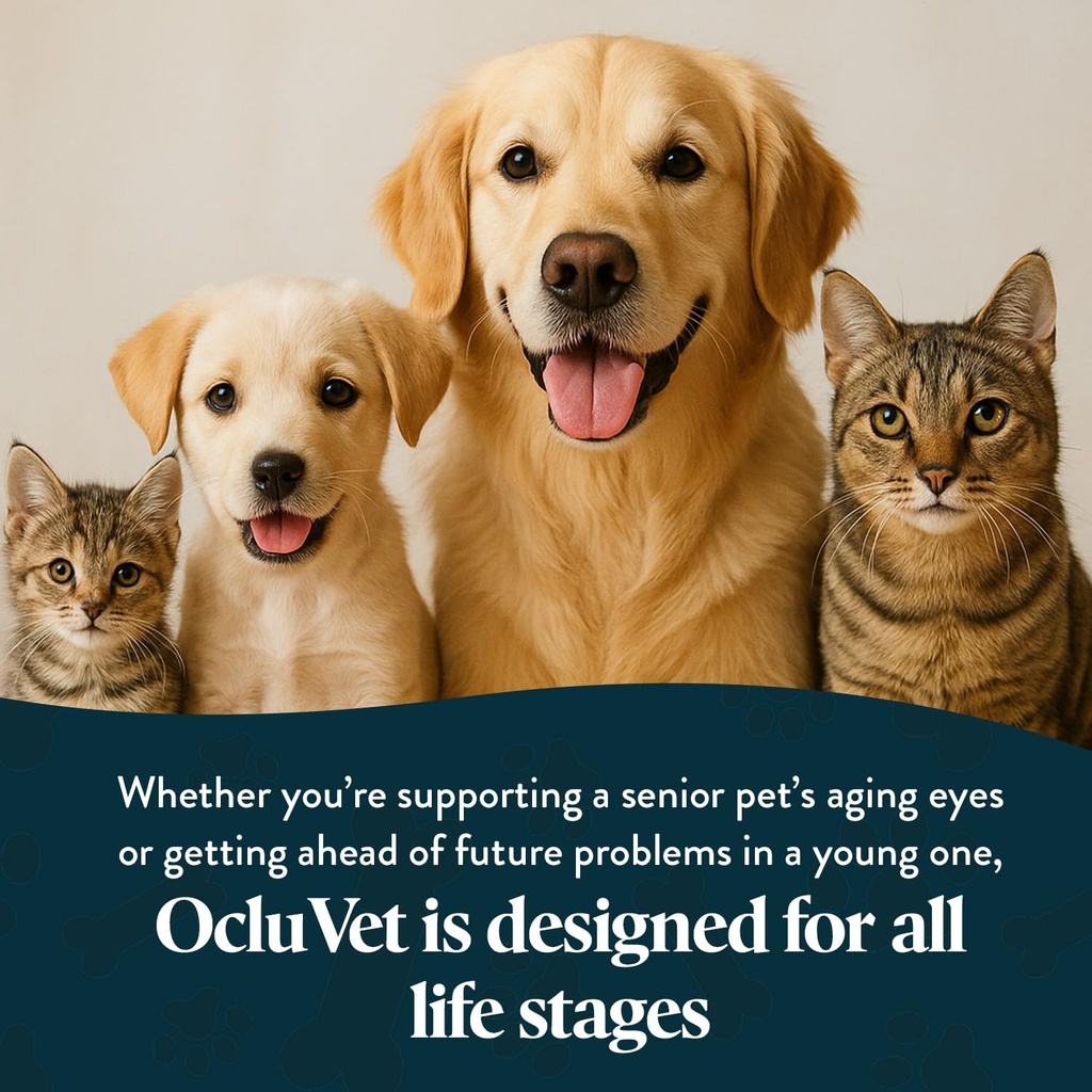ocluvet-vision-chews-eye-supplements-for-5.jpg