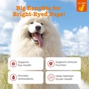 zesty-paws-tear-stain-support-soft-chews-2.jpg