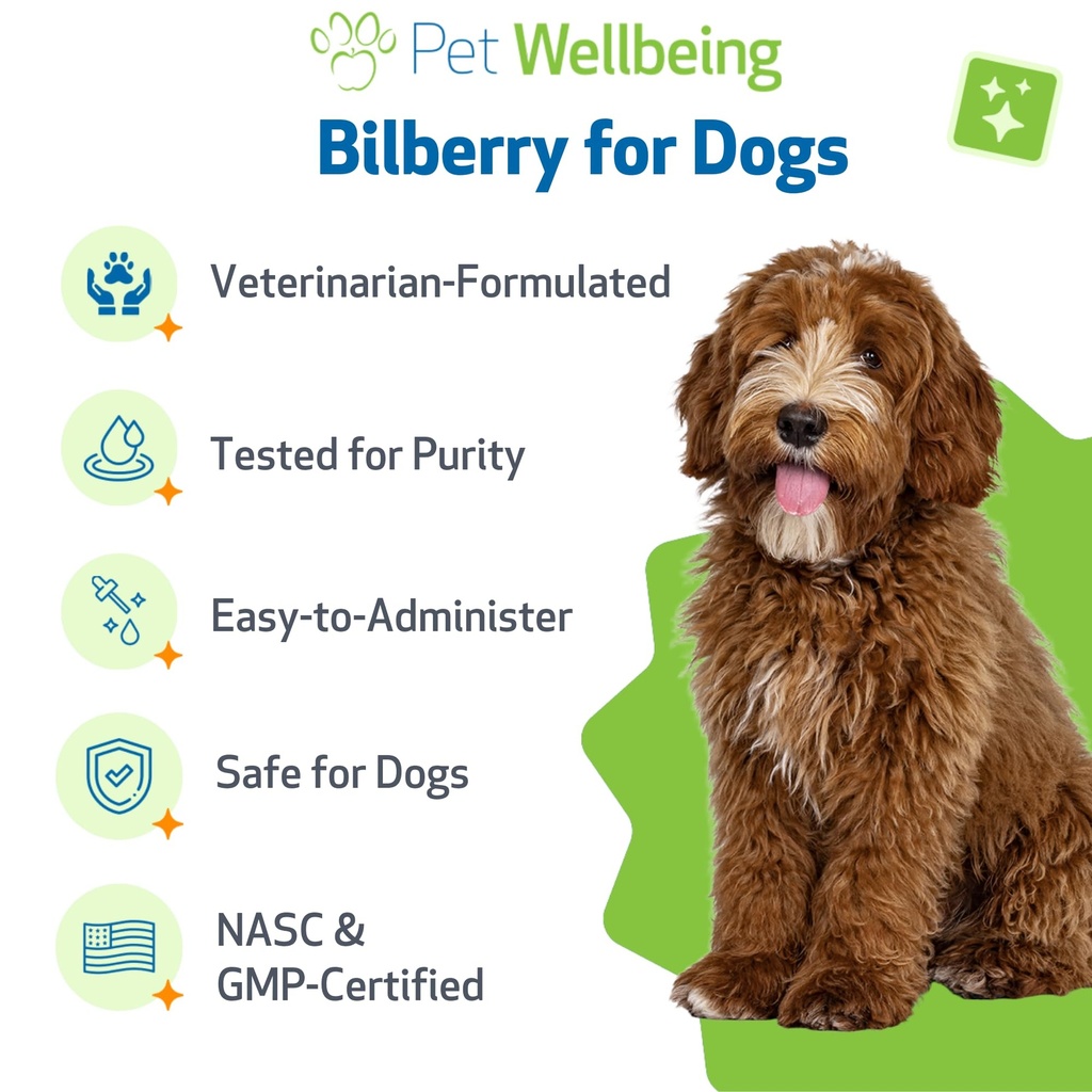 pet-wellbeing-bilberry-for-dogs-eye-visi-5.jpg