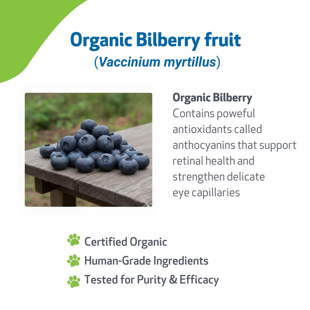 pet-wellbeing-bilberry-for-dogs-eye-visi-3.jpg