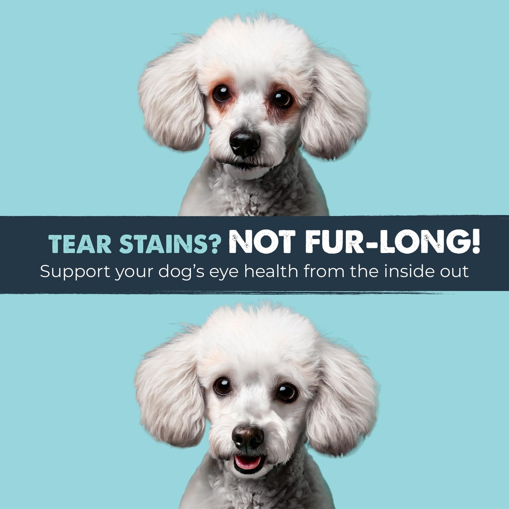 mighty-paw-waggables-eyes-made-in-usa-te-5.jpg
