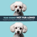 mighty-paw-waggables-eyes-made-in-usa-te-5.jpg