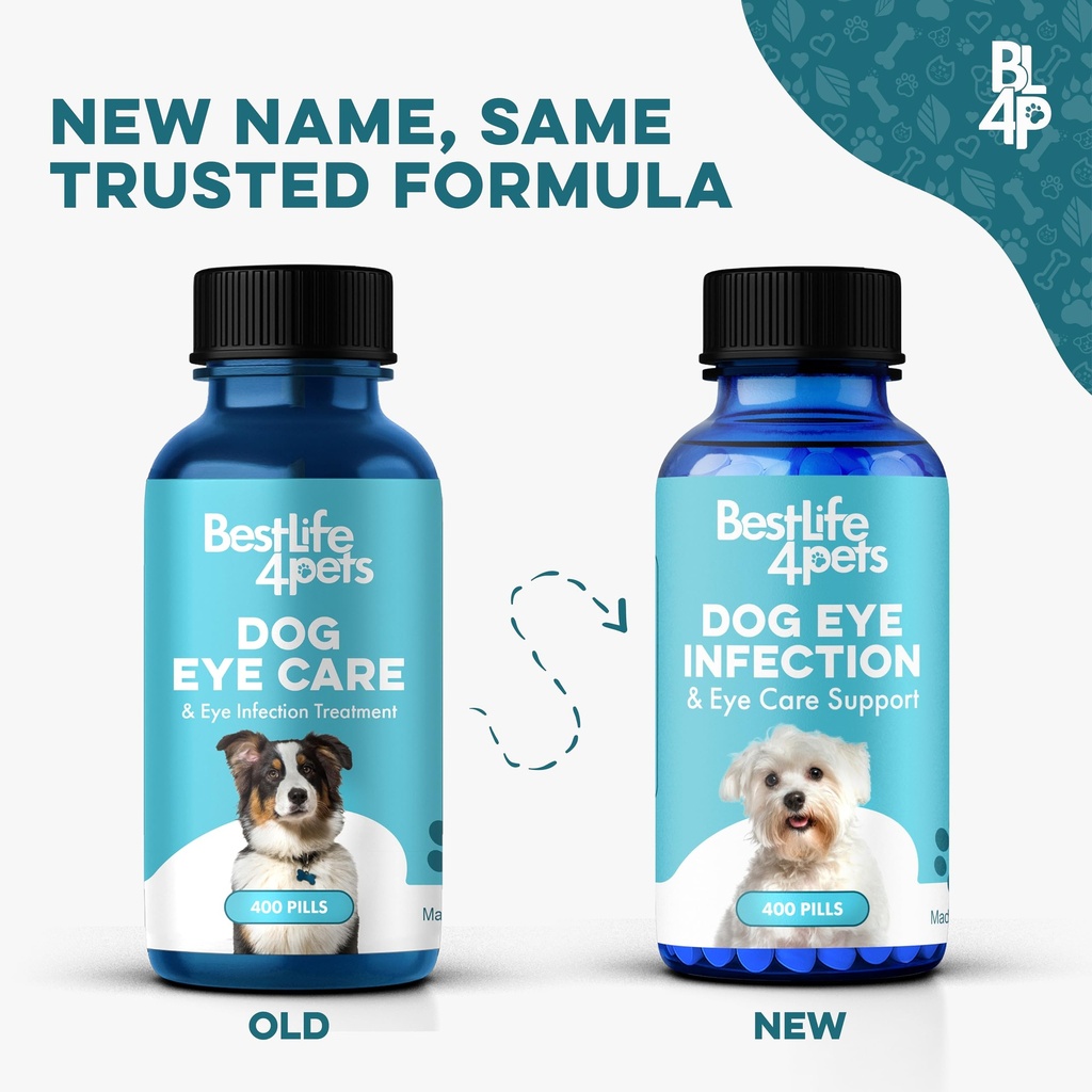 dog-eye-infection-eye-care-support-suppl-2.jpg