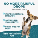 dog-eye-infection-eye-care-support-suppl-4.jpg