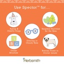 herbsmith-spector-eye-vision-support-for-5.jpg