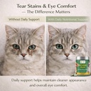 natural-plus-eye-health-chewable-tablets-5.jpg