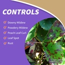 bonide-captain-jack-s-copper-fungicide-3-3.jpg