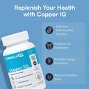 formula-iq-copper-iq-high-absorption-alb-2.jpg
