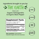 happy-healthy-hippie-vaginal-probiotics--3.jpg