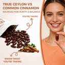 lirae-ceylon-cinnamon-softgels-with-mct--2.jpg