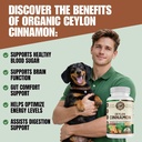 organic-ceylon-cinnamon-for-men-women-an-3.jpg