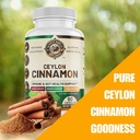 organic-ceylon-cinnamon-for-men-women-an-4.jpg