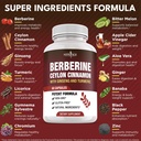 berberine-hcl-plus-ceylon-cinnamon-turme-2.jpg
