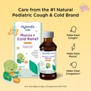 hyland-s-baby-mucus-and-cold-relief-dayt-2.jpg