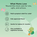 hyland-s-baby-mucus-and-cold-relief-dayt-6.jpg