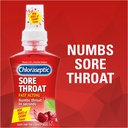 chloraseptic-sugar-free-sore-throat-spra-5.jpg