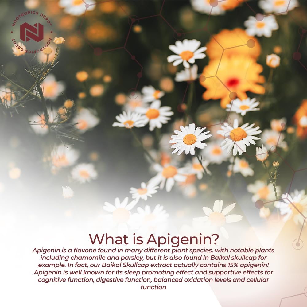 nootropics-depot-apigenin-capsules-50mg--4.jpg