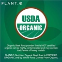 usda-plant-o-premium-organic-beet-root-t-3.jpg
