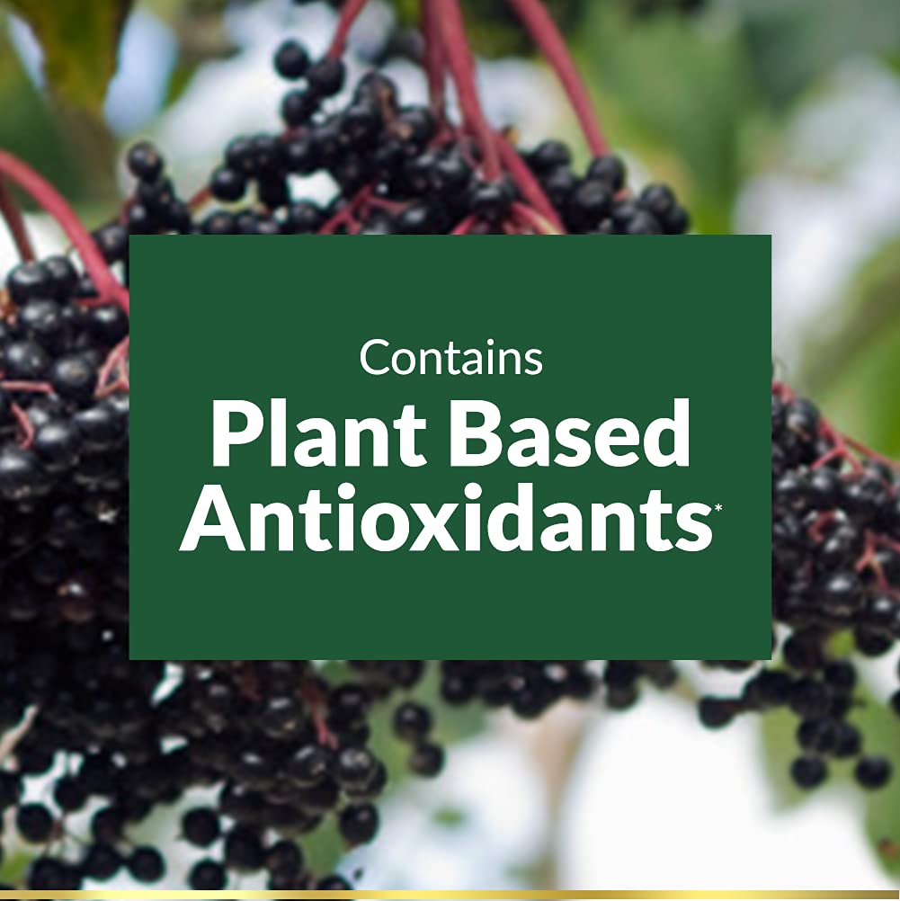 nature-s-bounty-sambucus-elderberry-herb-3.jpg