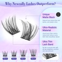 lash-clusters-kit-wispy-natural-cluster--5.jpg