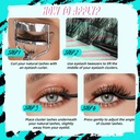 amzgirl-lash-midnight-wispy-lash-cluster-6.jpg