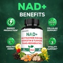satoomi-nad-supplement-for-women-nad-nic-5.jpg