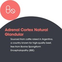 allergy-research-group-arg-adrenal-corte-4.jpg