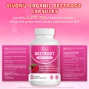 vivonu-beetroot-capsules-beet-root-suppl-2.jpg