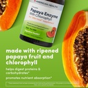 papaya-enzyme-w-chlorophyll-chewable-tab-5.jpg