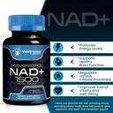 wellness-labsrx-liposomal-nad-supplement-6.jpg