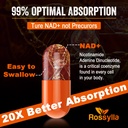 liposomal-nad-supplement-1300-mg-per-ser-4.jpg