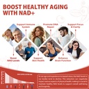 1000mg-high-potency-nad-liquid-supplemen-6.jpg