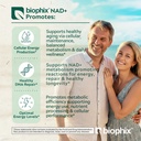 biophix-nad-liposomal-supplement-for-wom-4.jpg