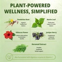 debloat-powder-for-digestive-health-natu-3.jpg