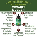 usda-organic-mullein-leaf-drops-for-lung-2.jpg