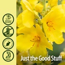 nature-s-answer-mullein-leaf-with-organi-5.jpg