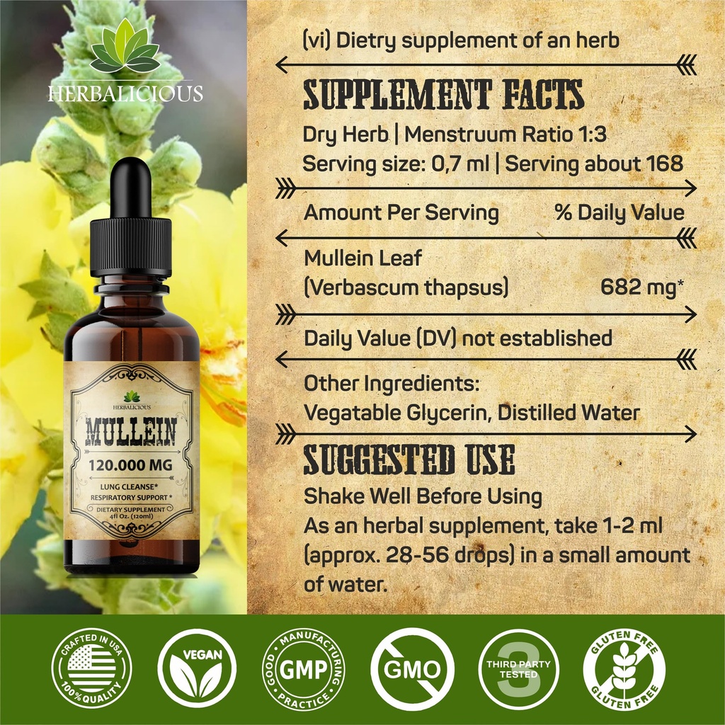 herbalicious-mullein-drops-for-lungs-org-6.jpg