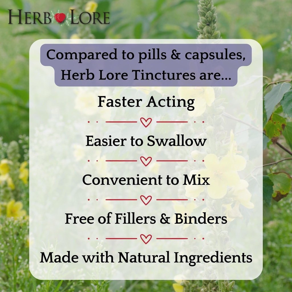herb-lore-mullein-tincture-organic-mulle-3.jpg