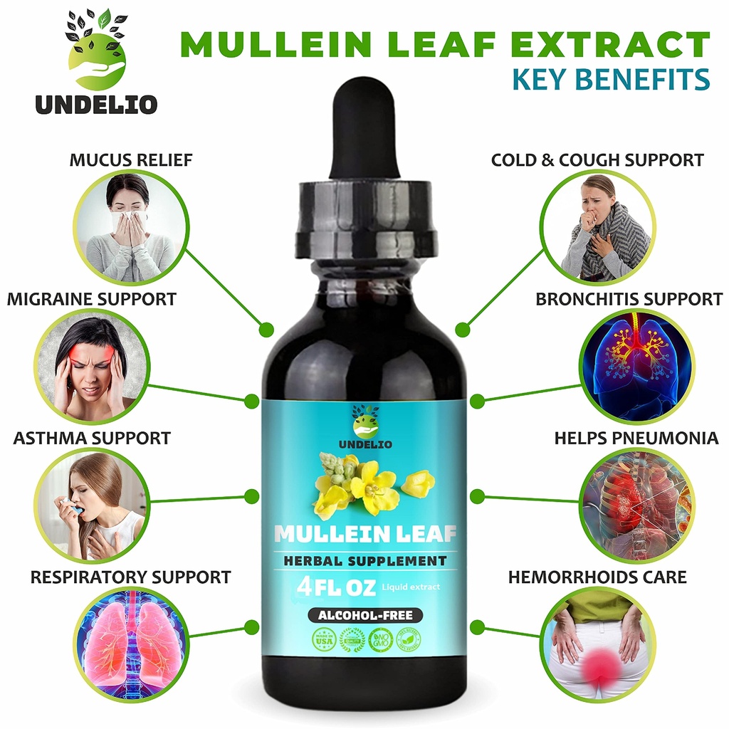 undelio-s-herbal-mullein-leaf-extract-or-2.jpg
