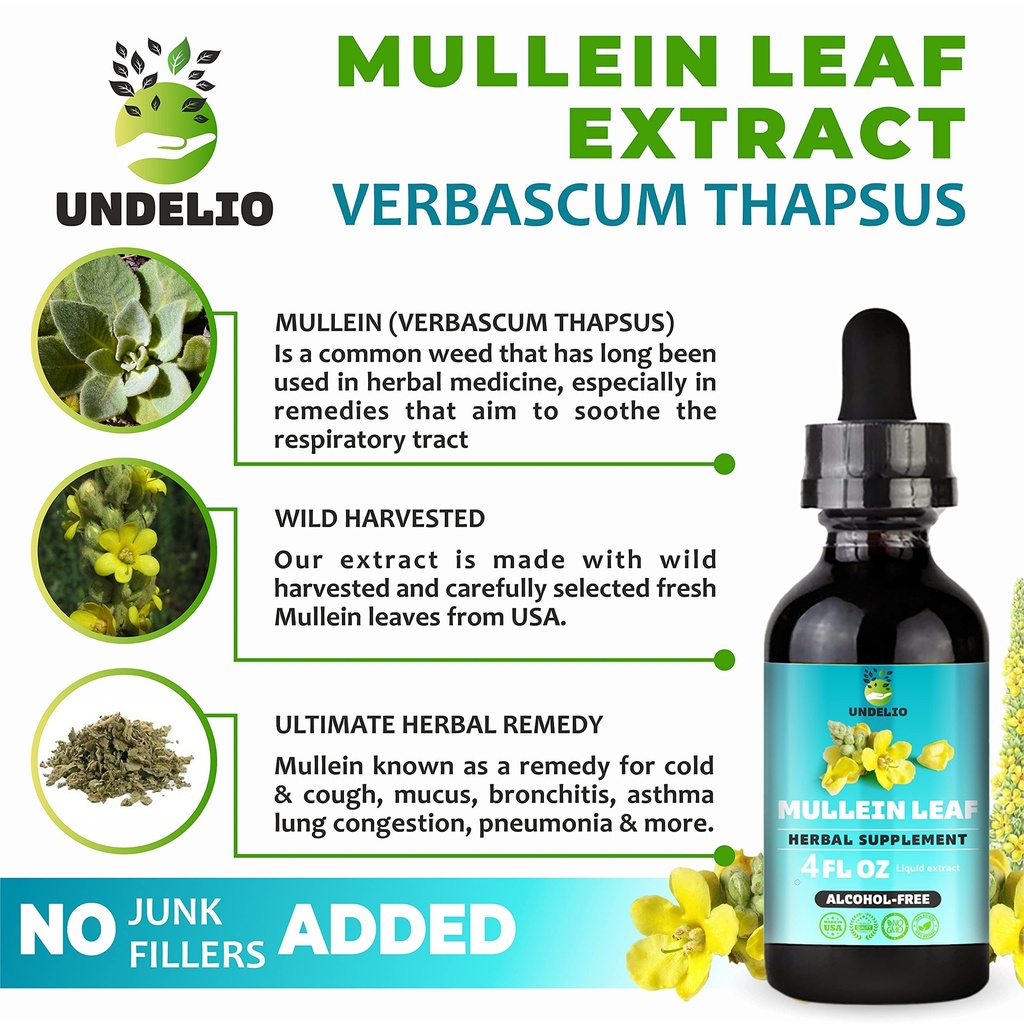 undelio-s-herbal-mullein-leaf-extract-or-4.jpg