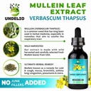 undelio-s-herbal-mullein-leaf-extract-or-4.jpg