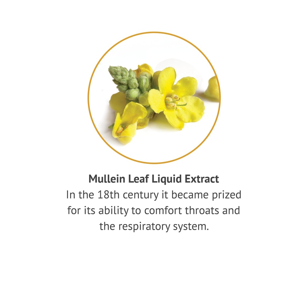 botanic-choice-mullein-leaf-liquid-extra-3.jpg