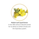 botanic-choice-mullein-leaf-liquid-extra-3.jpg