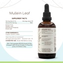 herbera-mullein-leaf-b120-alcohol-free-h-3.jpg