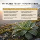 mullein-honey-sticks-2000mg-mullein-per--5.jpg