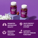 elderberry-gummies-mullein-leaf-capsules-6.jpg